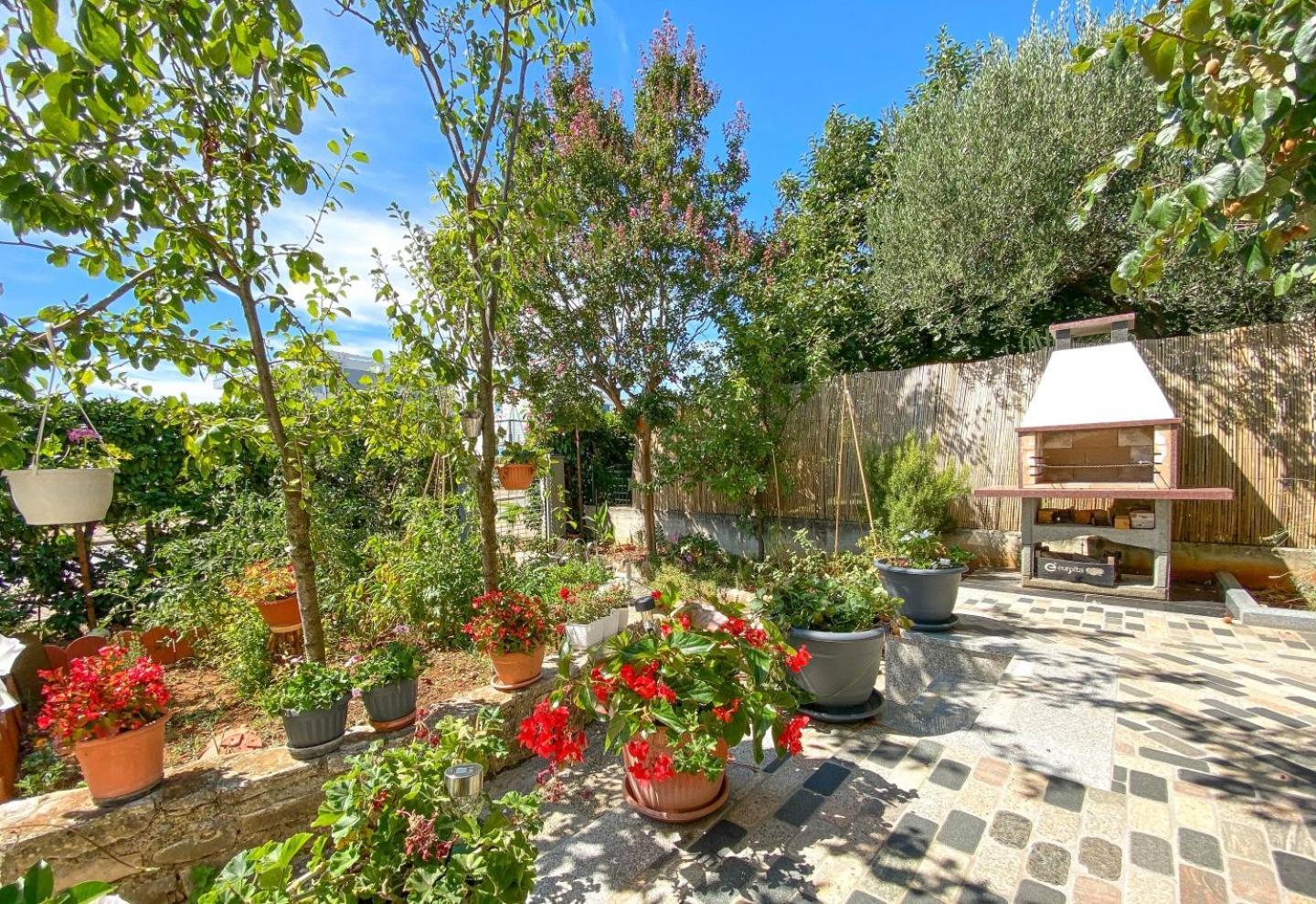 Apartmán Amelie Novigrad Istria Exteriér fotografie